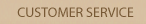 Customer Services